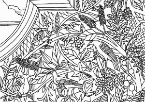 Central Park Coloring Pages Central Park Coloring Pages 5009 12751650