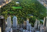 Central Park Wall Mural Mercury Row Bird Eye View Central Park Wall Mural