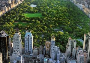 Central Park Wall Mural Mercury Row Bird Eye View Central Park Wall Mural