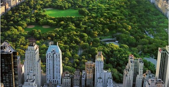 Central Park Wall Mural Mercury Row Bird Eye View Central Park Wall Mural