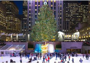 Central Park Wall Mural Travel New York City Zur Weihnachtszeit Rockefeller Center