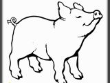 Charlotte S Web Coloring Pages Pig Clipart Clipart Best Coloring Page Love