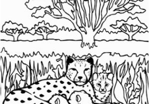 Cheetah Coloring Pages Online 25 Best Cheetah Coloring Pages for Your Little Es