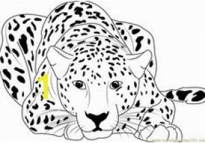 Cheetah Coloring Pages Online Cheetah Color Page Coloring In Vivid Chaos
