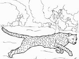 Cheetah Coloring Pages Online Cheetah Coloring Pages Gallery thephotosync