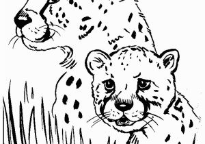 Cheetah Coloring Pages Online Cheetah Coloring Pages Gallery thephotosync