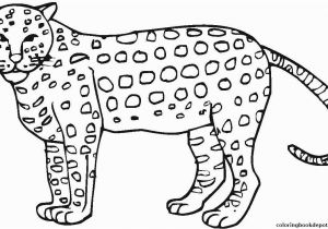 Cheetah Coloring Pages Online Coloring Pages Of Baby Cheetahs A K Bfo