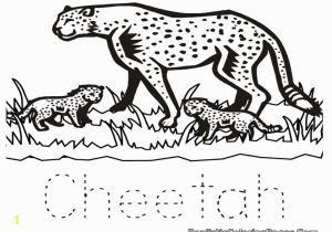 Cheetah Coloring Pages Online Coloring Pages Of Baby Cheetahs A K Bfo