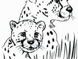 Cheetah Coloring Pages Online Leopard Print Coloring Pages Cheetah Printable Me Animal to for