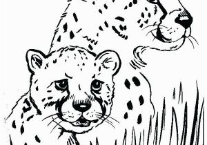 Cheetah Coloring Pages Online Leopard Print Coloring Pages Cheetah Printable Me Animal to for