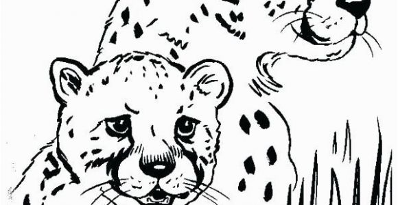 Cheetah Coloring Pages Online Leopard Print Coloring Pages Cheetah Printable Me Animal to for