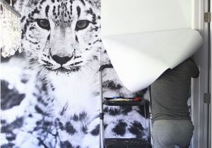 Cheetah Print Wall Mural Snow Leopard Wallpaper Mural Diy