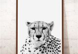 Cheetah Print Wall Murals Cheetah Print Art Cheetah Print Instant Download Cheetah