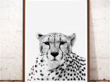 Cheetah Print Wall Murals Cheetah Print Art Cheetah Print Instant Download Cheetah