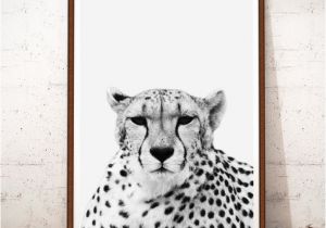 Cheetah Print Wall Murals Cheetah Print Art Cheetah Print Instant Download Cheetah