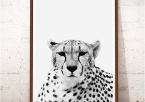 Cheetah Print Wall Murals Cheetah Print Art Cheetah Print Instant Download Cheetah