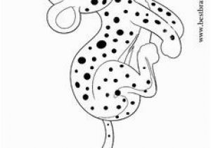 Cheetah Running Coloring Pages 49 Best Cheetah Education Images On Pinterest