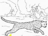 Cheetah Running Coloring Pages 645 Best Cheetahlish Images On Pinterest