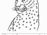 Cheetah Running Coloring Pages Cheetah S Can Run Fast Worksheet Twisty Noodle