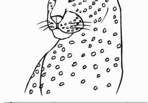 Cheetah Running Coloring Pages Cheetah S Can Run Fast Worksheet Twisty Noodle