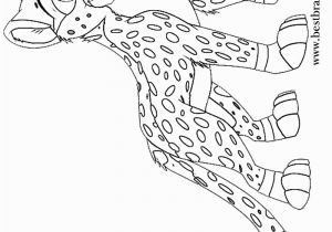 Cheetah Running Coloring Pages Printable Cheetah Coloring Pages for Kids
