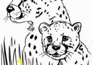 Chester Cheetah Coloring Pages 40 Best Cheetah Paint Images