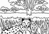 Chester Cheetah Coloring Pages 657 Best Cheetahlish Images