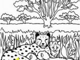 Chester Cheetah Coloring Pages 657 Best Cheetahlish Images