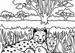 Chester Cheetah Coloring Pages 657 Best Cheetahlish Images