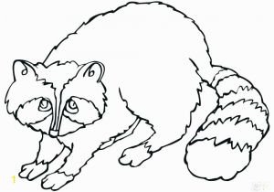 Chester Raccoon and the Big Bad Bully Coloring Pages Raccoon Coloring Sheet Raccoon Coloring Page Raccoon Coloring Page