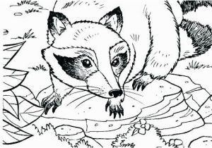Chester Raccoon and the Big Bad Bully Coloring Pages Raccoon Coloring Sheet Raccoon Coloring Pages to Print Free Coloring