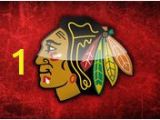 Chicago Blackhawks Wall Mural Bathroom Remodel