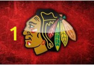 Chicago Blackhawks Wall Mural Bathroom Remodel