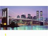 Chicago Skyline Wall Mural Biggies Wall Mural 40" X 80" New York Skyline Item