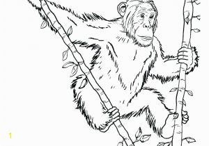 Chimp Coloring Pages Chimp Coloring Pages Chimpanzee Coloring Page Size Cartoon