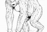 Chimp Coloring Pages Chimpanzee Coloring Pages