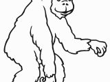 Chimp Coloring Pages Chimpanzee Coloring Pages