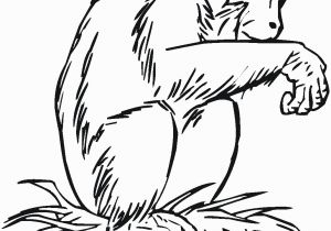 Chimp Coloring Pages Chimpanzee Coloring Pages