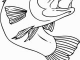 Chinook Salmon Coloring Page 20 New Chinook Salmon Coloring Page