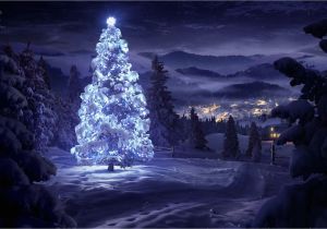 Christmas Wall Murals Uk 50 Beautiful Christmas Tree Wallpapers