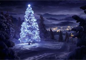 Christmas Wall Murals Uk 50 Beautiful Christmas Tree Wallpapers