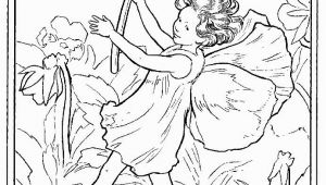 Cicely Mary Barker Flower Fairies Coloring Pages 244 Best Images About Cicely Mary Barker On Pinterest