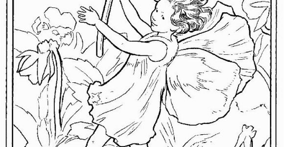 Cicely Mary Barker Flower Fairies Coloring Pages 244 Best Images About Cicely Mary Barker On Pinterest