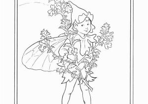 Cicely Mary Barker Flower Fairies Coloring Pages Amazon Flower Fairies Alphabet Coloring Book