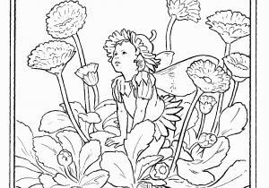 Cicely Mary Barker Flower Fairies Coloring Pages Flower Fairies Kleurplaten Google Zoeken Met