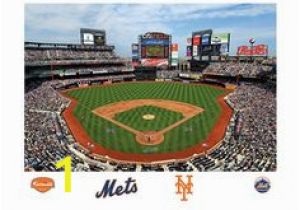 Citi Field Wall Mural 13 Best New York Mets Images