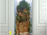 Closet Door Murals 84 Best Wall Sticker S 3d Spreads Images