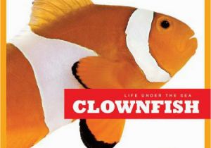 Clown Fish Coloring Pages Clown Fish