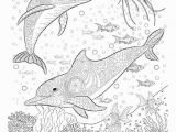 Clown Fish Coloring Pages Pin Auf Manualidades