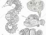 Clown Fish Coloring Pages Set Fish Sea Horse Moon Fish Stock Vektorgrafik Lizenzfrei